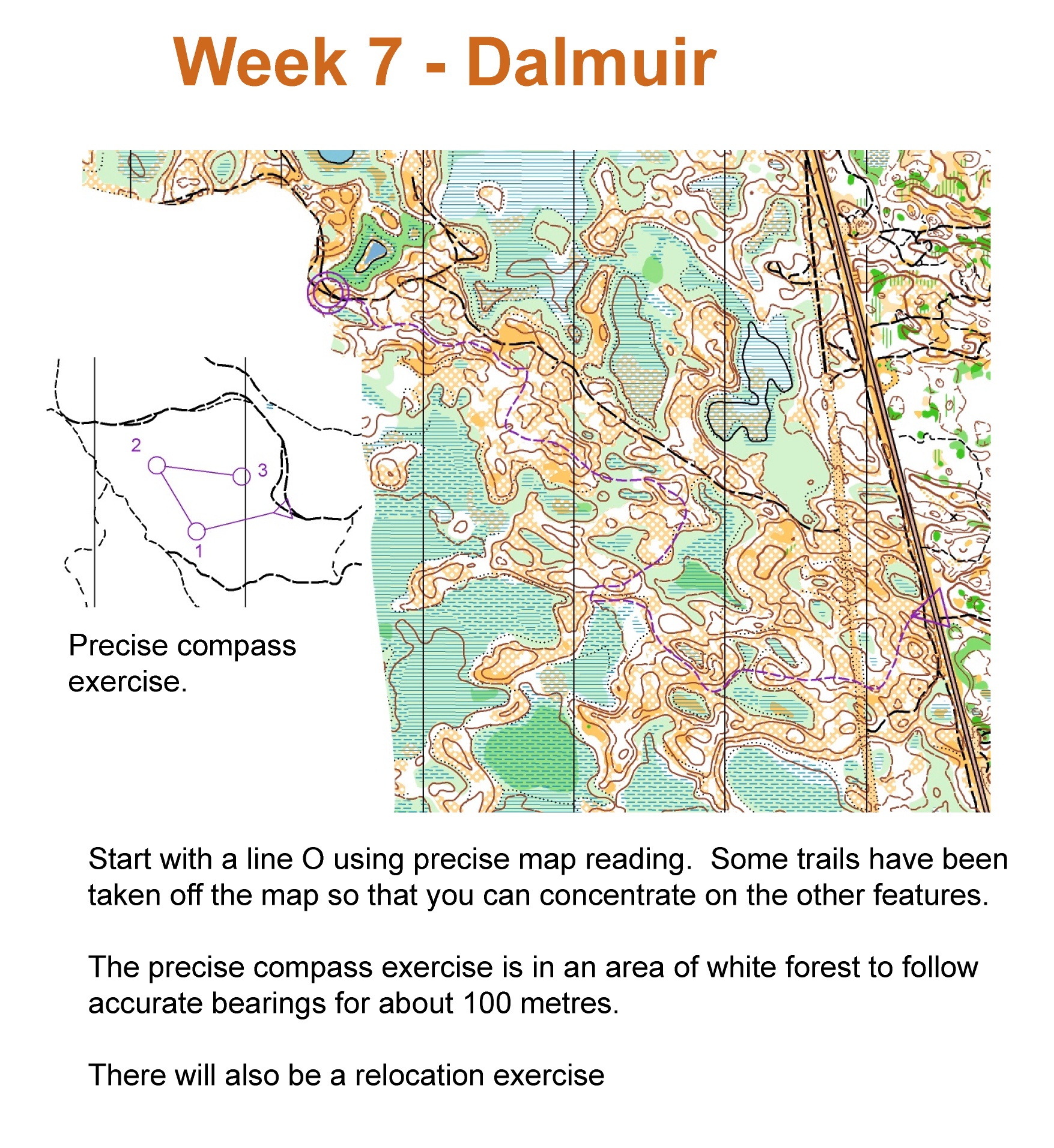Week 7 Dalmuir